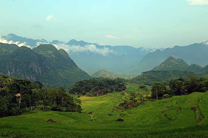réserve naturelle pu luong vallée rizicole